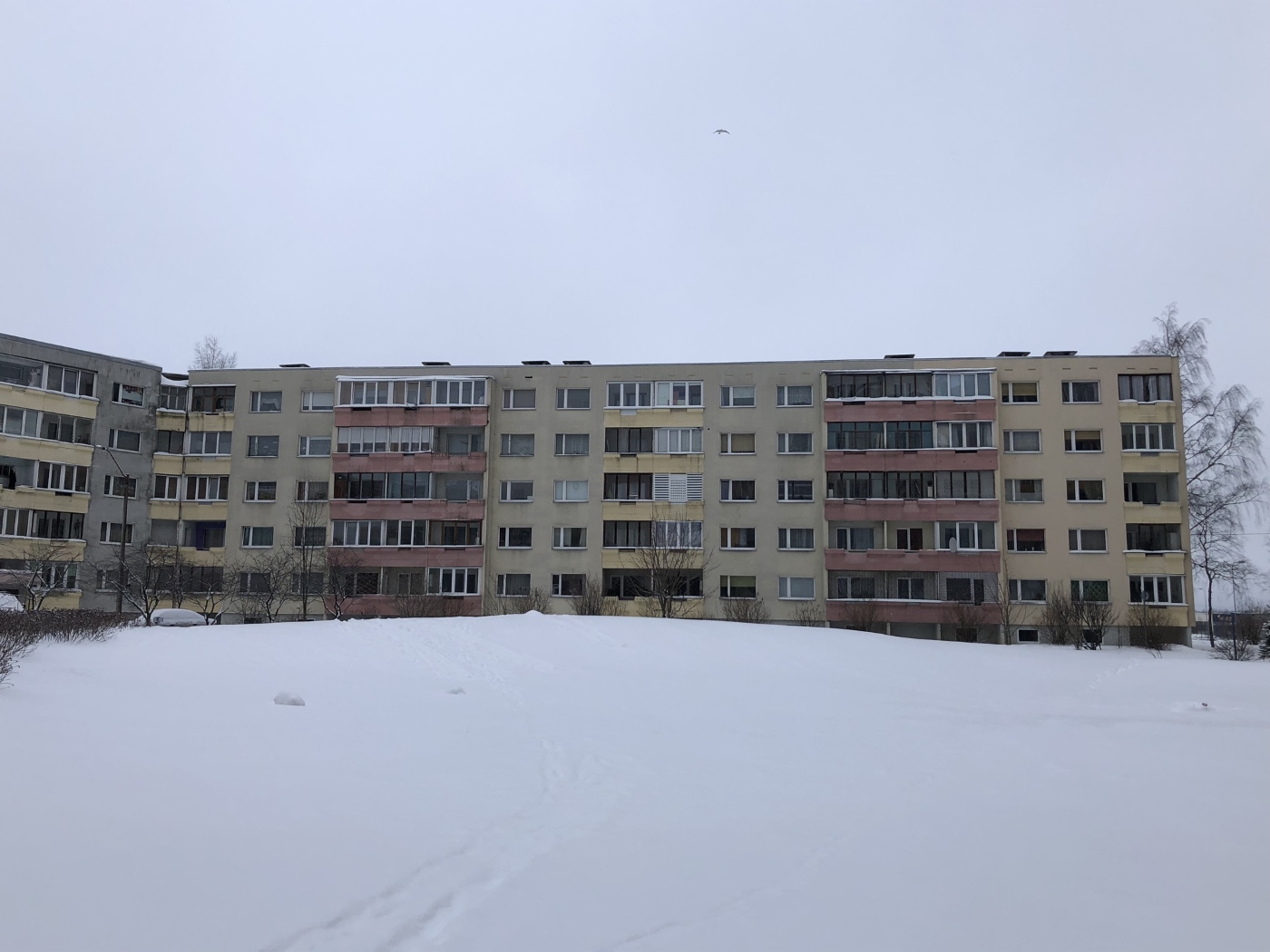Таллин, Mahtra, 2