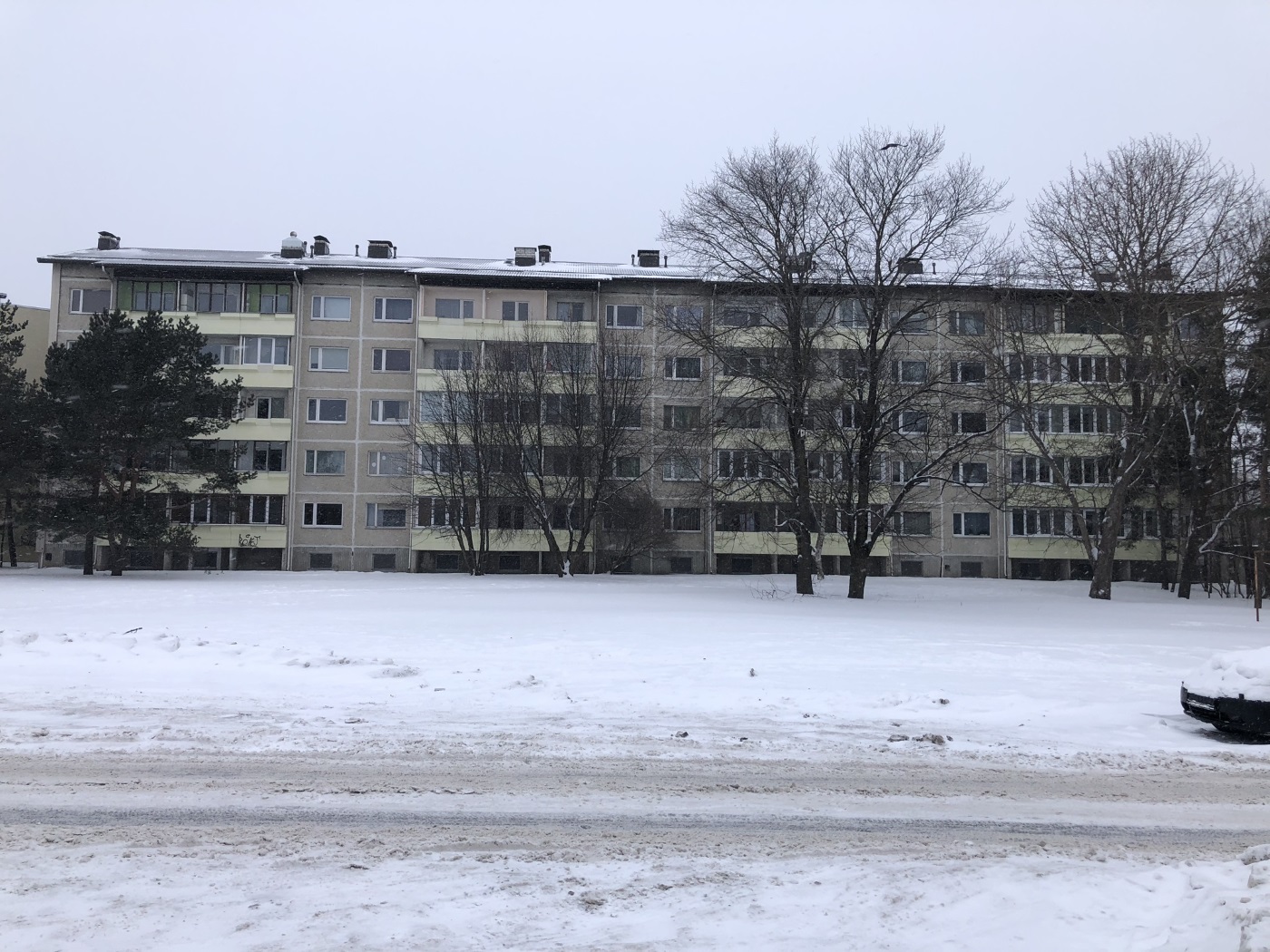 Таллин, Mahtra, 42