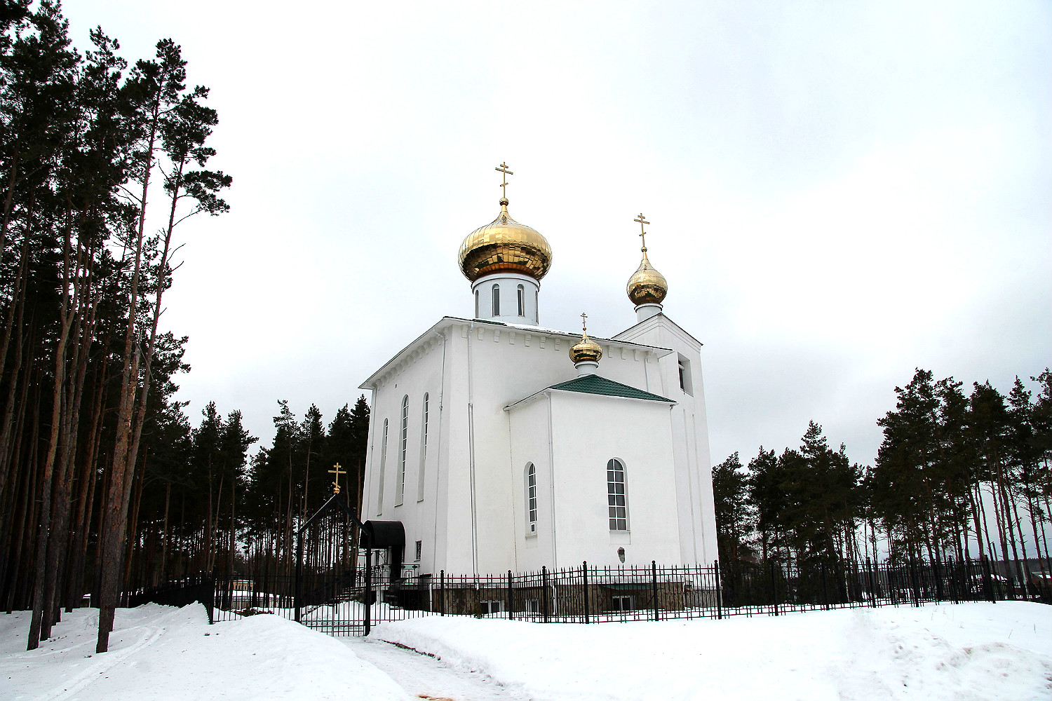 Новоусманский район, прочие н.п., пос. Шуберское, Подлесная улица, 23/2