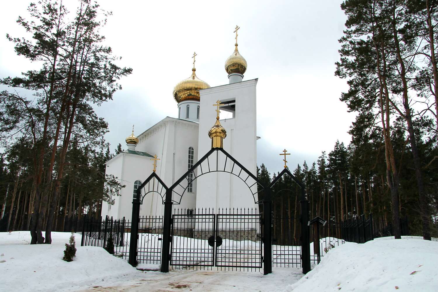 Новоусманский район, прочие н.п., пос. Шуберское, Подлесная улица, 23/2