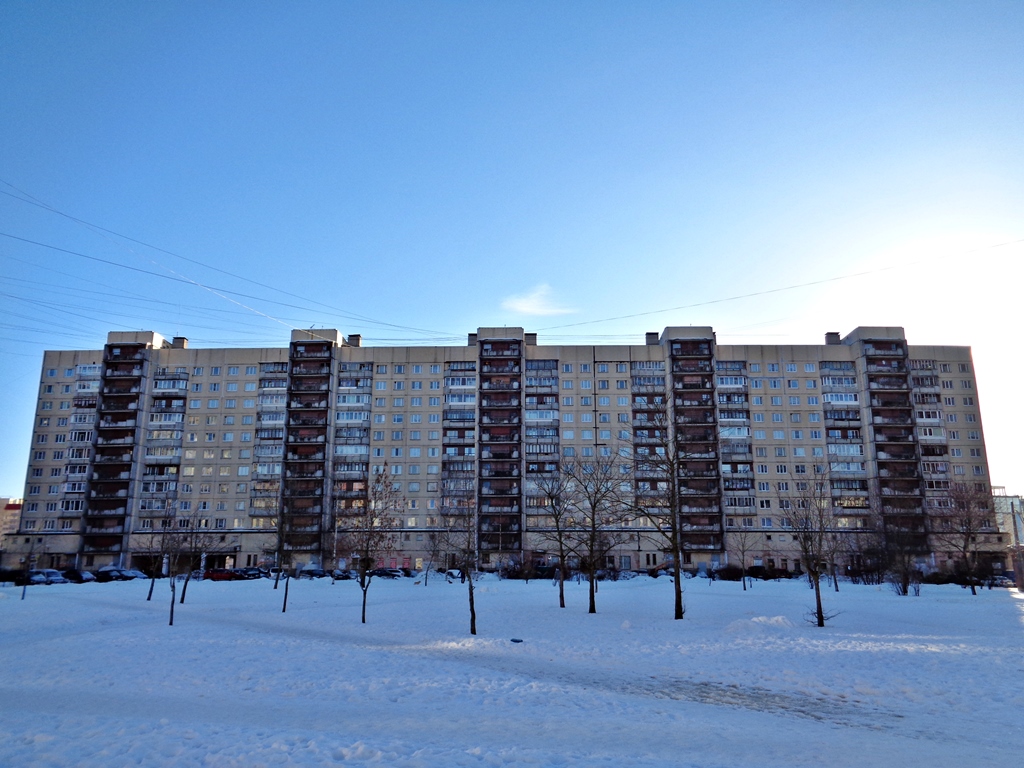 Колпино, Улица Ижорского Батальона, 7