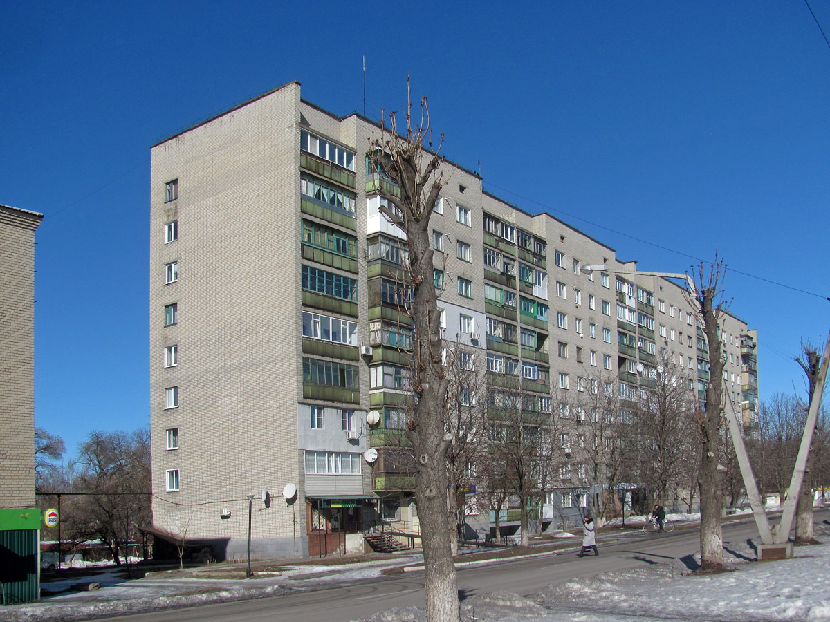 Попасная, Улица Мира, 153