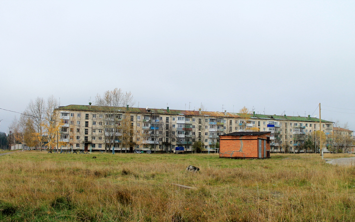 Александровский муниципальный округ, прочие н.п., пос. Карьер Известняк, Юбилейная улица, 1