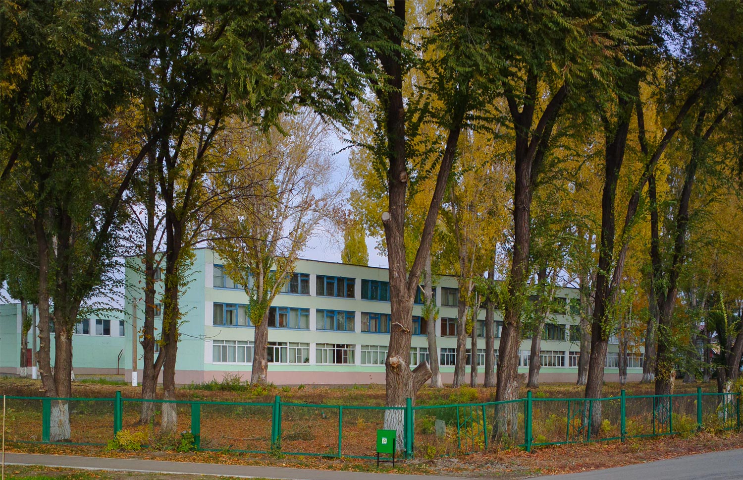 Смышляевка, Пионерская улица, 30