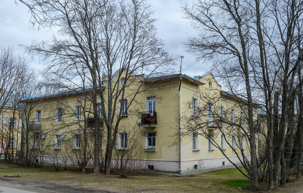 Сестрорецк, Улица Борисова, 3