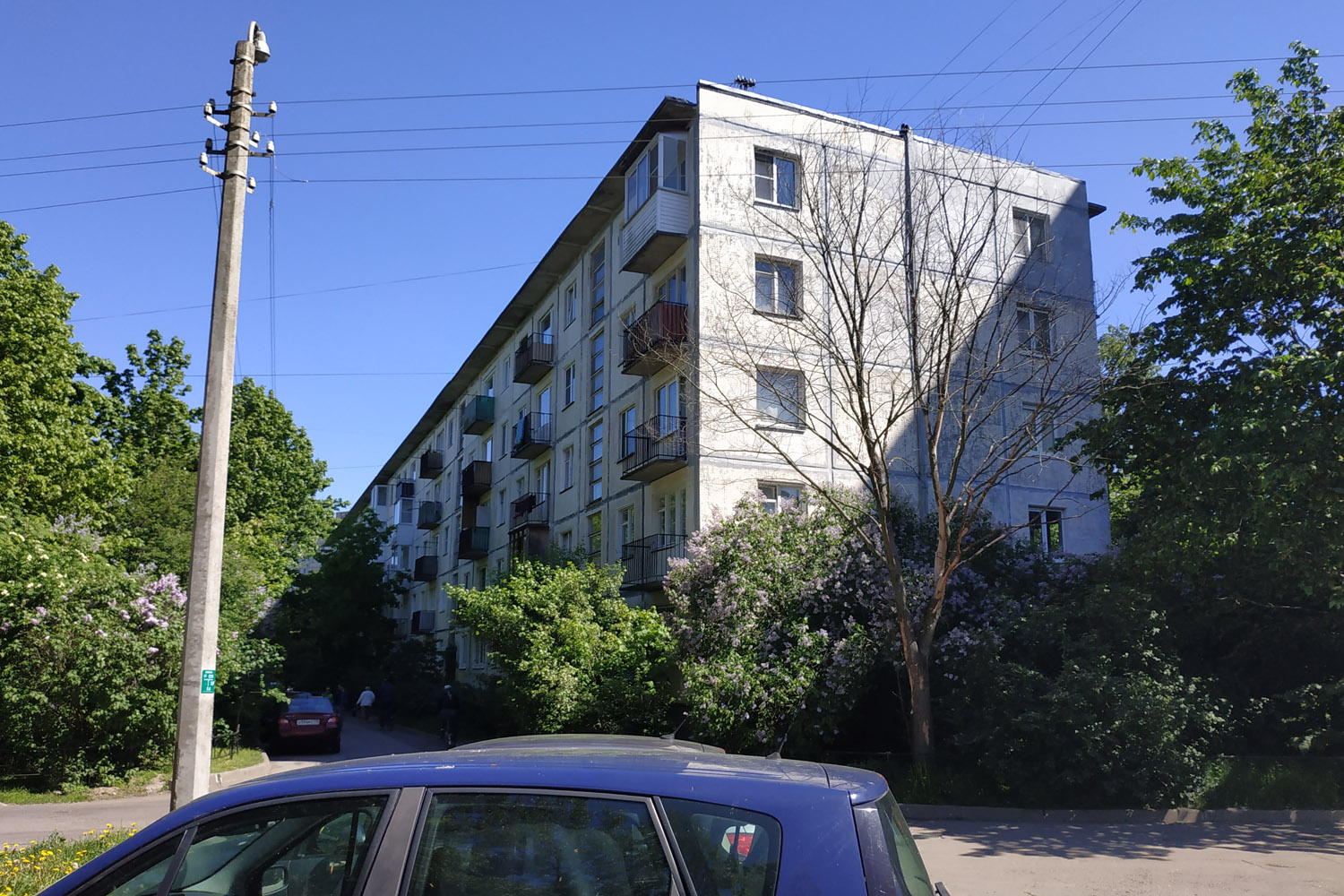 Сестрорецк, Набережная Строителей, 8