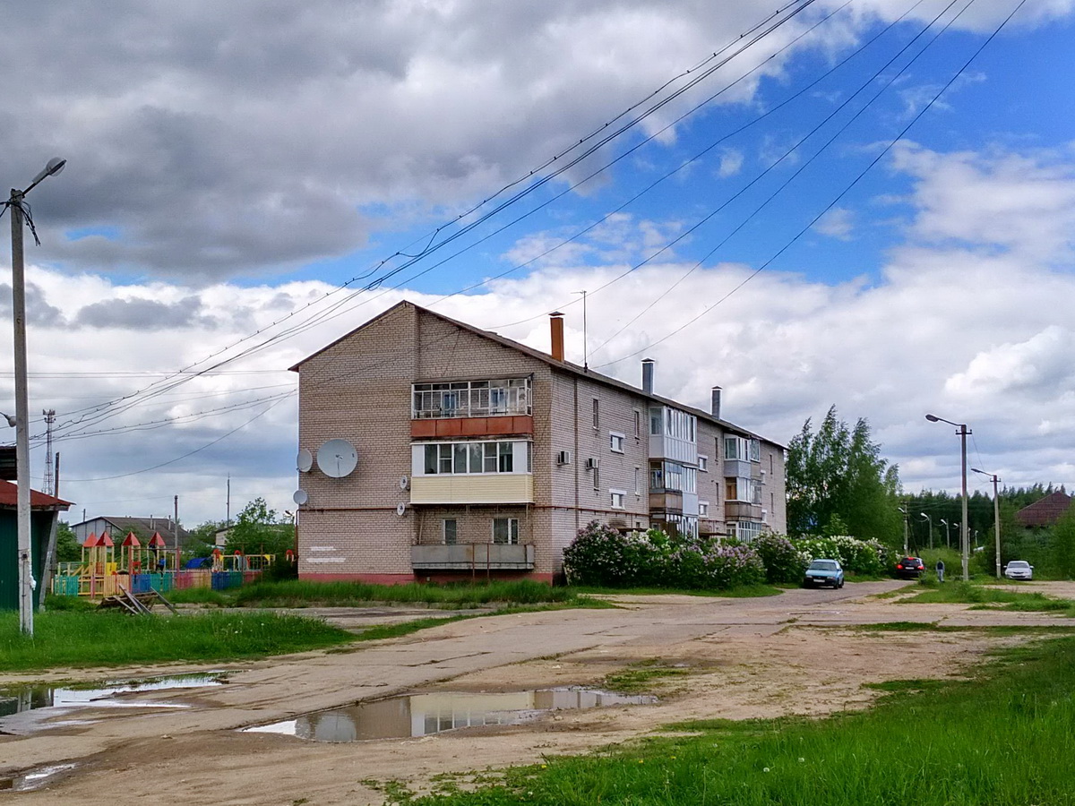 Некрасовское, Улица Мира, 10