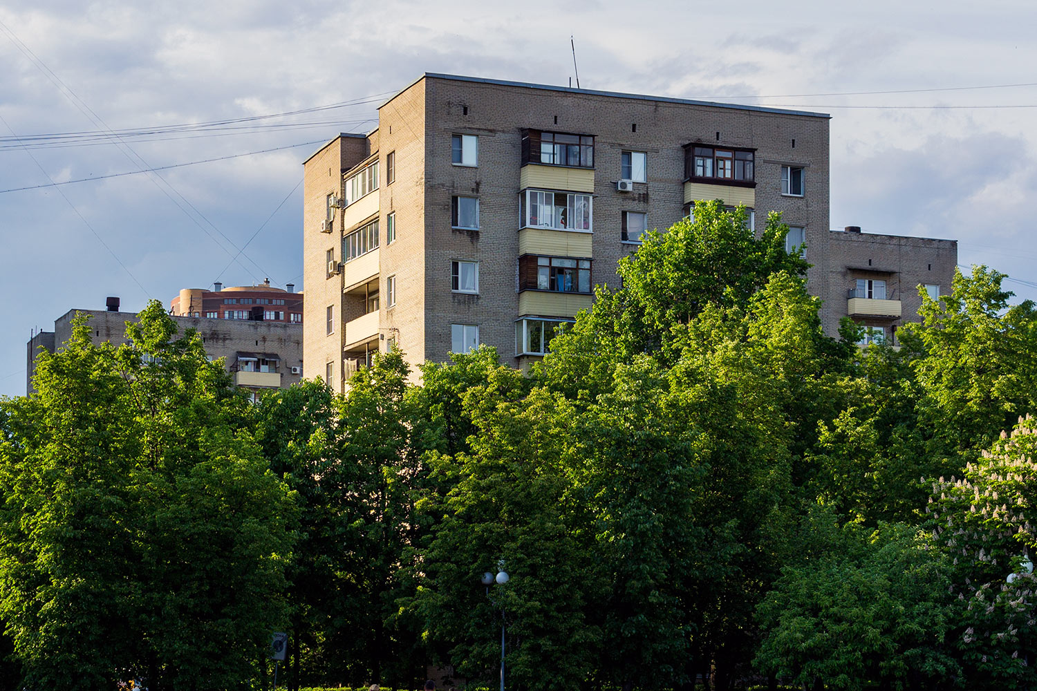 Реутов, Улица Ленина, 29