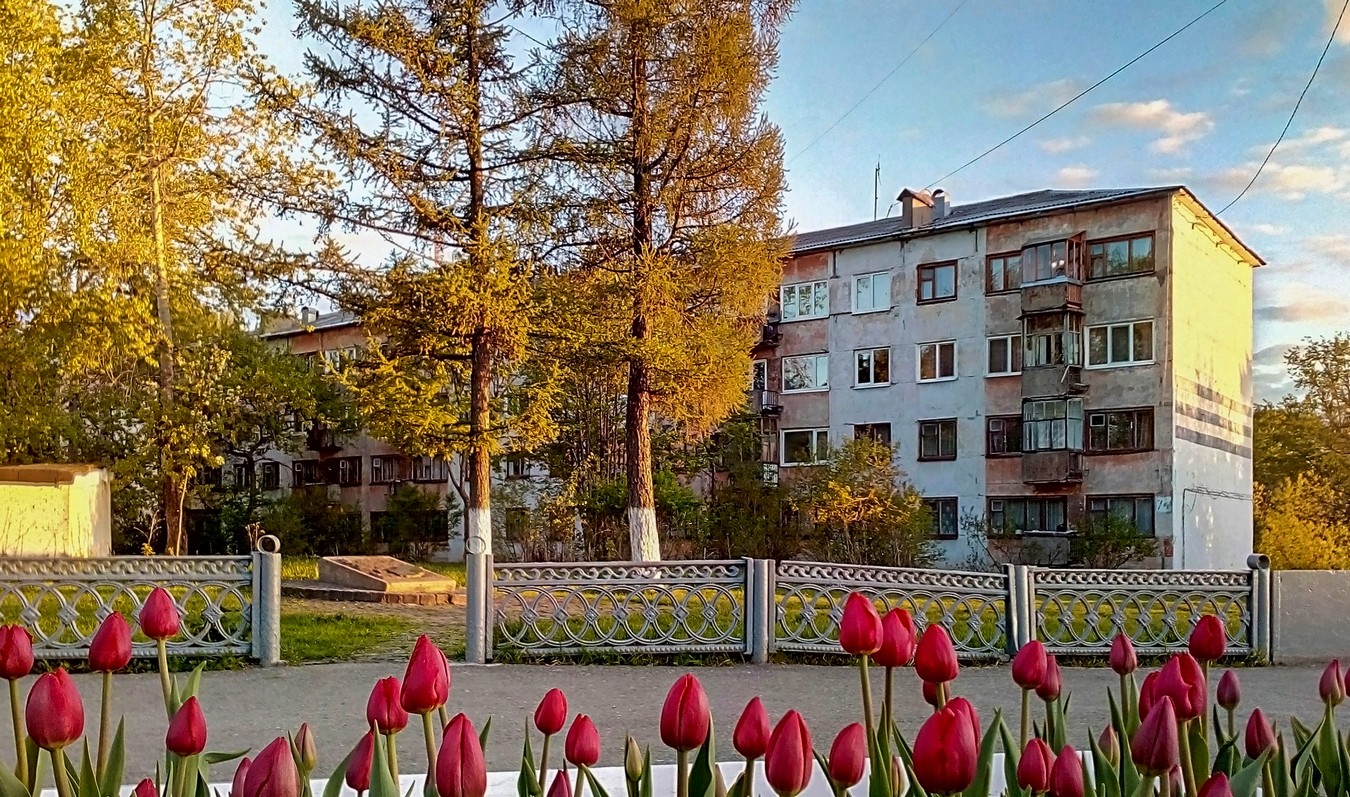 Березники, Улица Ломоносова, 74