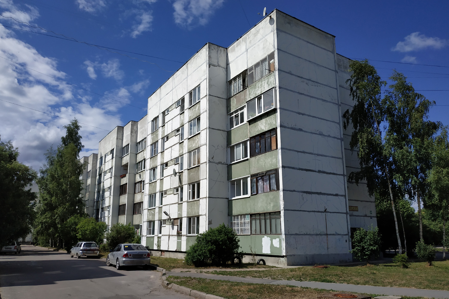 Всеволожский район, прочие н. п., Романовка, 31