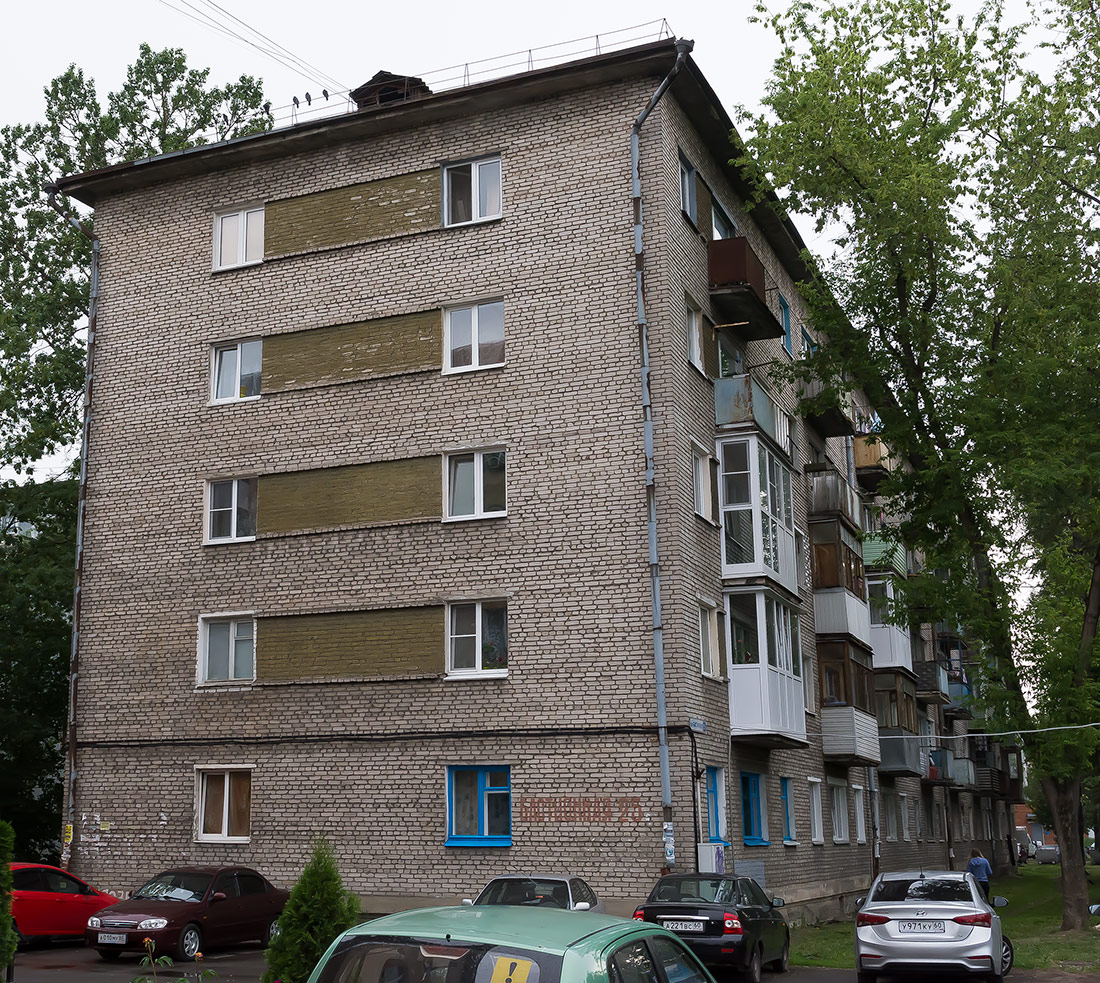 Псков, Бастионная улица, 25
