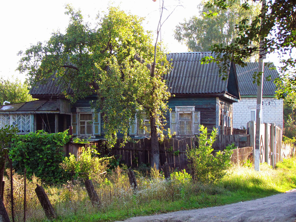 Воронеж, Озёрная улица, ?
