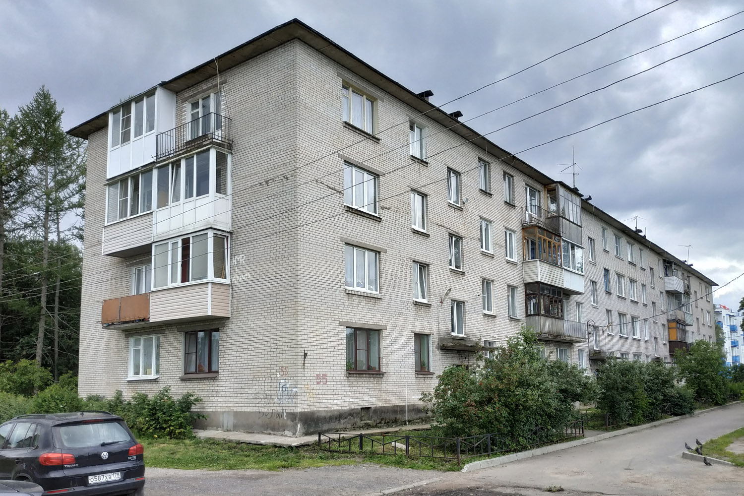 Всеволожский район, прочие н. п., Щеглово, 55