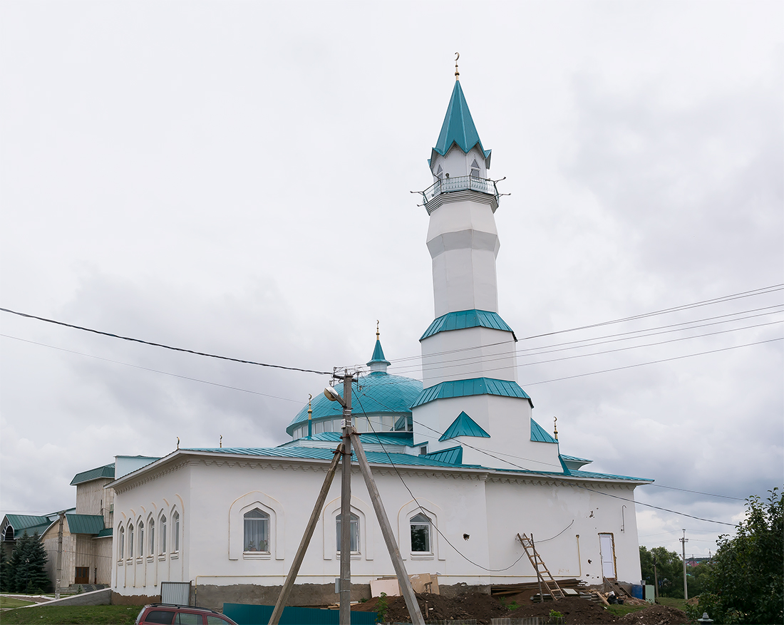 Благоварский район, прочие н.п., с. Языково, улица Пушкина, 10