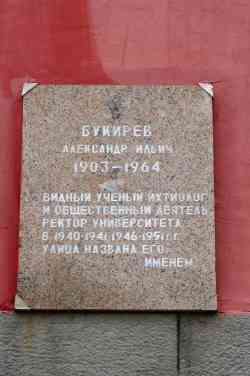 482 КБ
