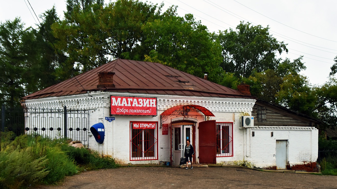 Пермский район, прочие н.п., с. Нижние Муллы, Советская улица, 12