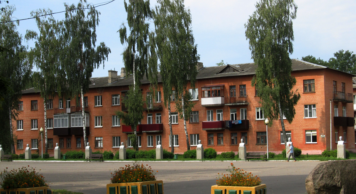 Быхов, Авиационная улица, 2