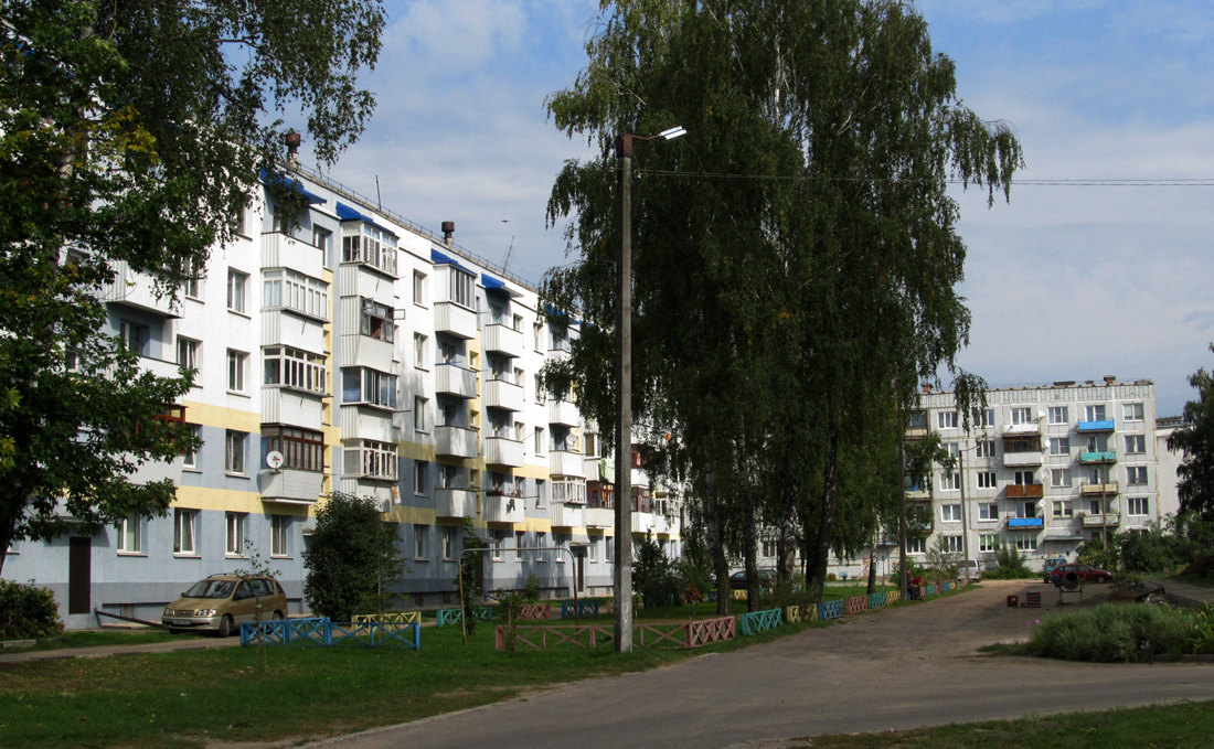 Быхов, Улица Гришина, 19; Улица Гришина, 25