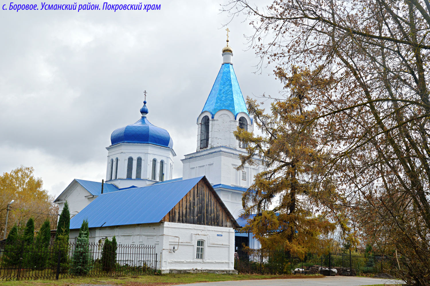 Усманский район, прочие н.п., С. Боровое, Речной переулок, 17