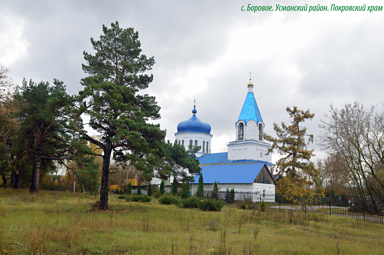 Усманский район, прочие н.п., С. Боровое, Речной переулок, 17
