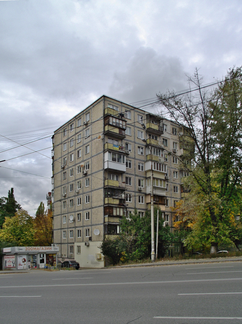 Киев, Улица Щусева, 42