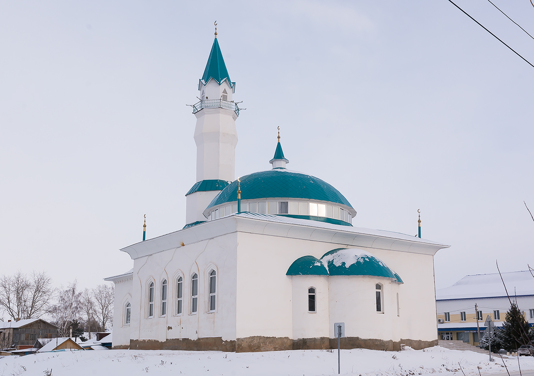 Благоварский район, прочие н.п., с. Языково, улица Пушкина, 10