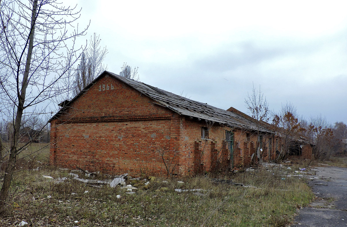 Старый Салтов, Международная улица, 2