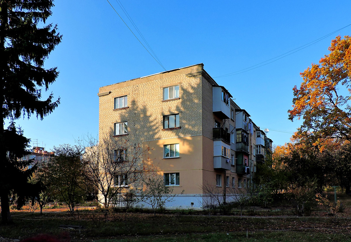 Кочеток, Улица Литвинова, 51