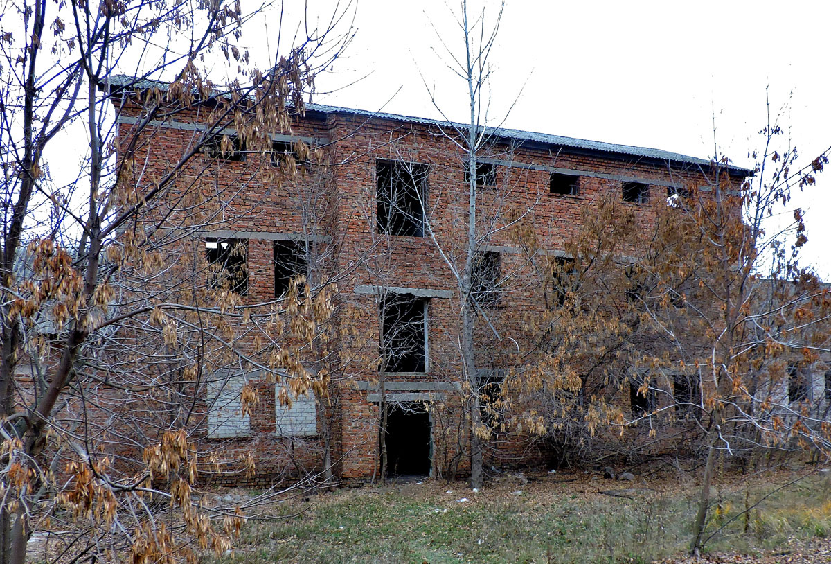 Старый Салтов, Международная улица, 2