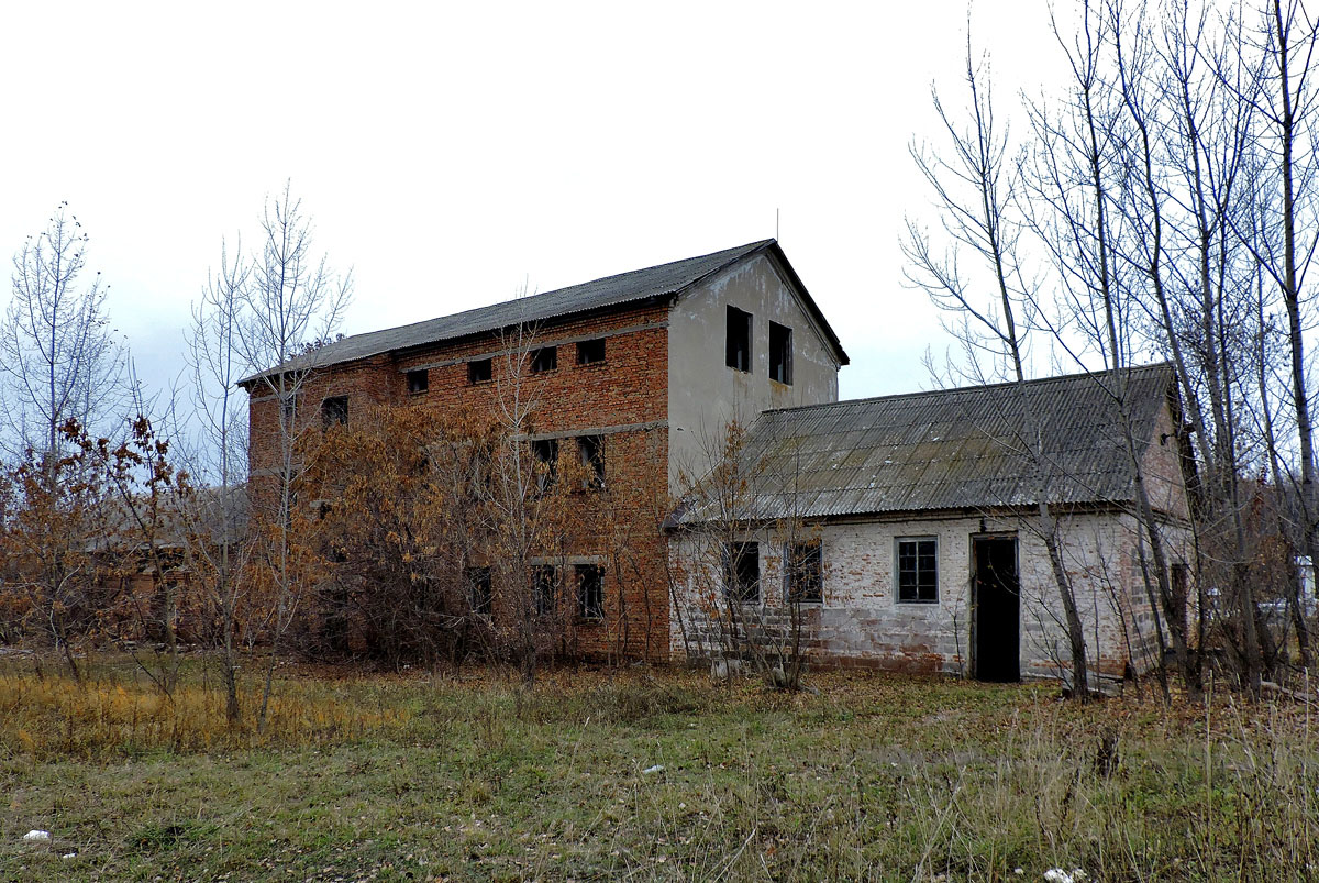 Старый Салтов, Международная улица, 2