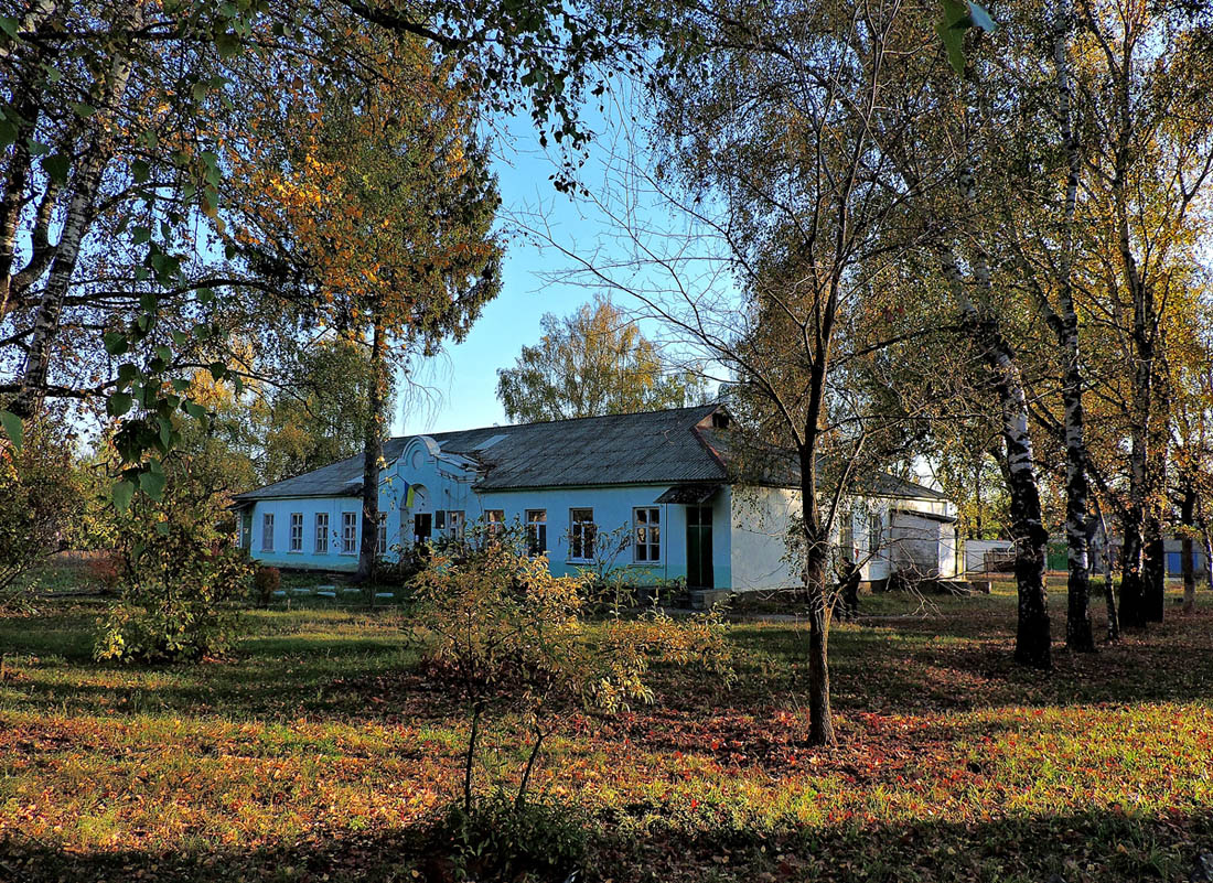 Кочеток, Улица Литвинова, 54