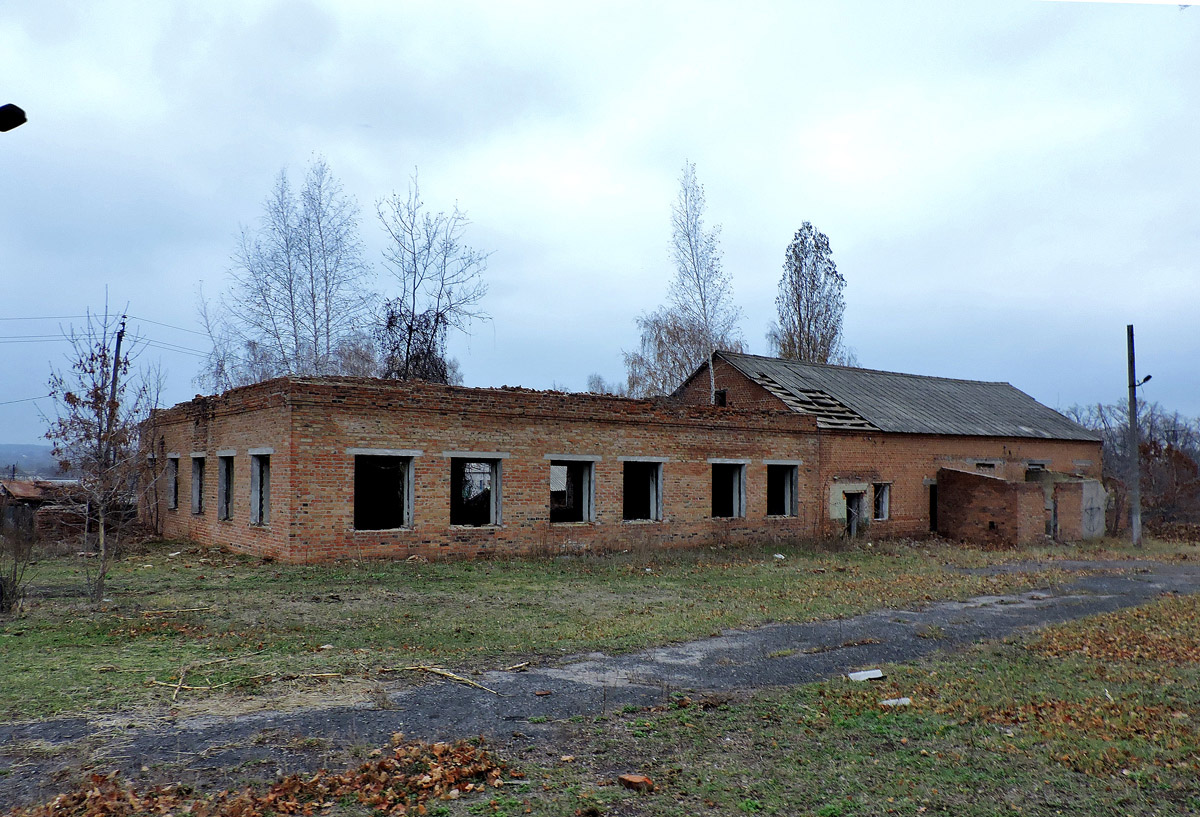 Старый Салтов, Международная улица, 2