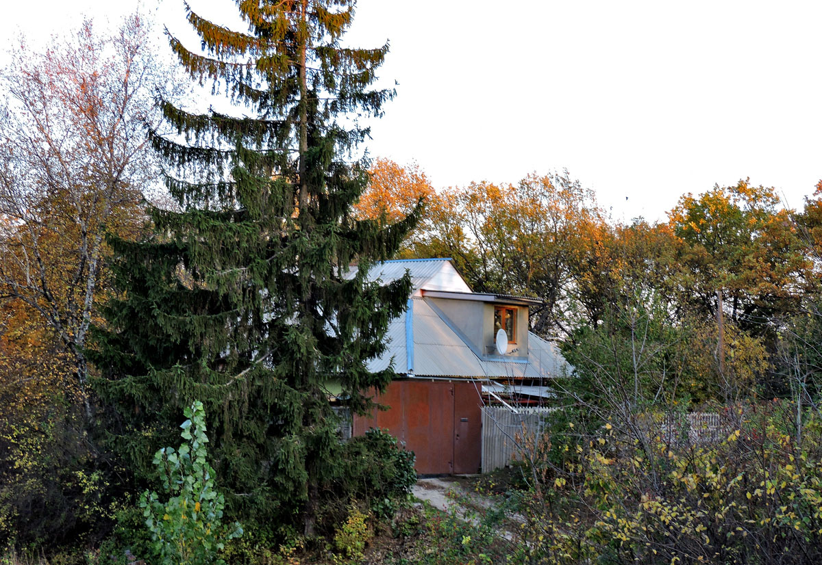 Кочеток, Радужная улица, 66