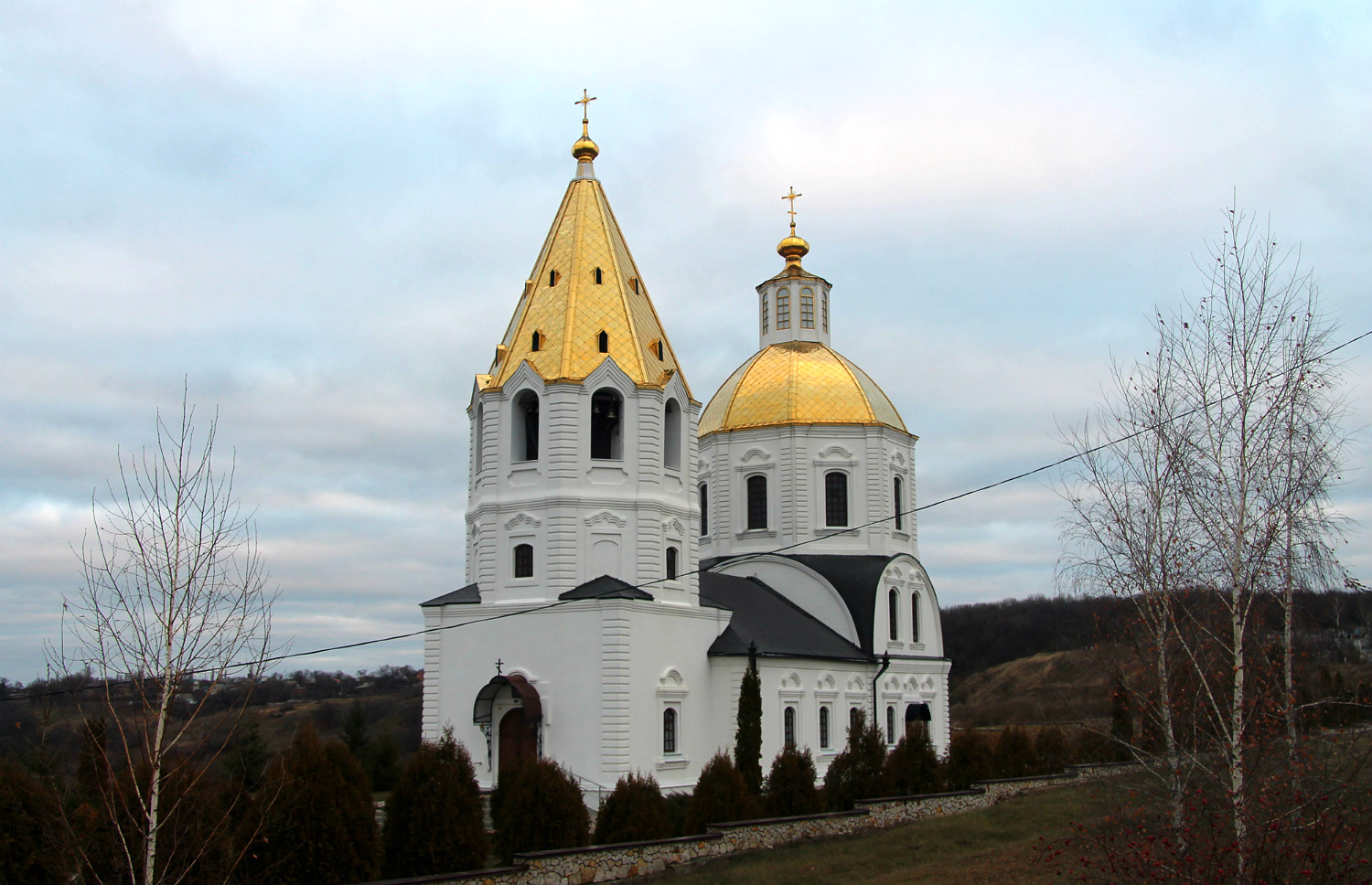 Семилукский район, прочие н.п., с. Терновое, Терновская улица, 2Б