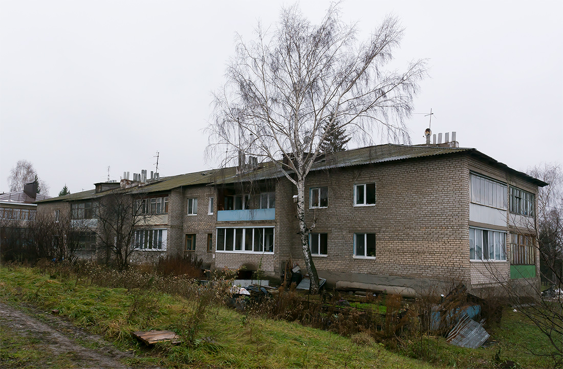 Уфа, п. Новые Черкассы, Пионерская улица, 16/2