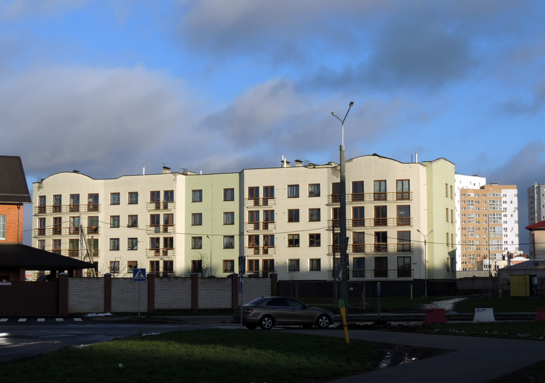 Копище, Лесная улица, 17А