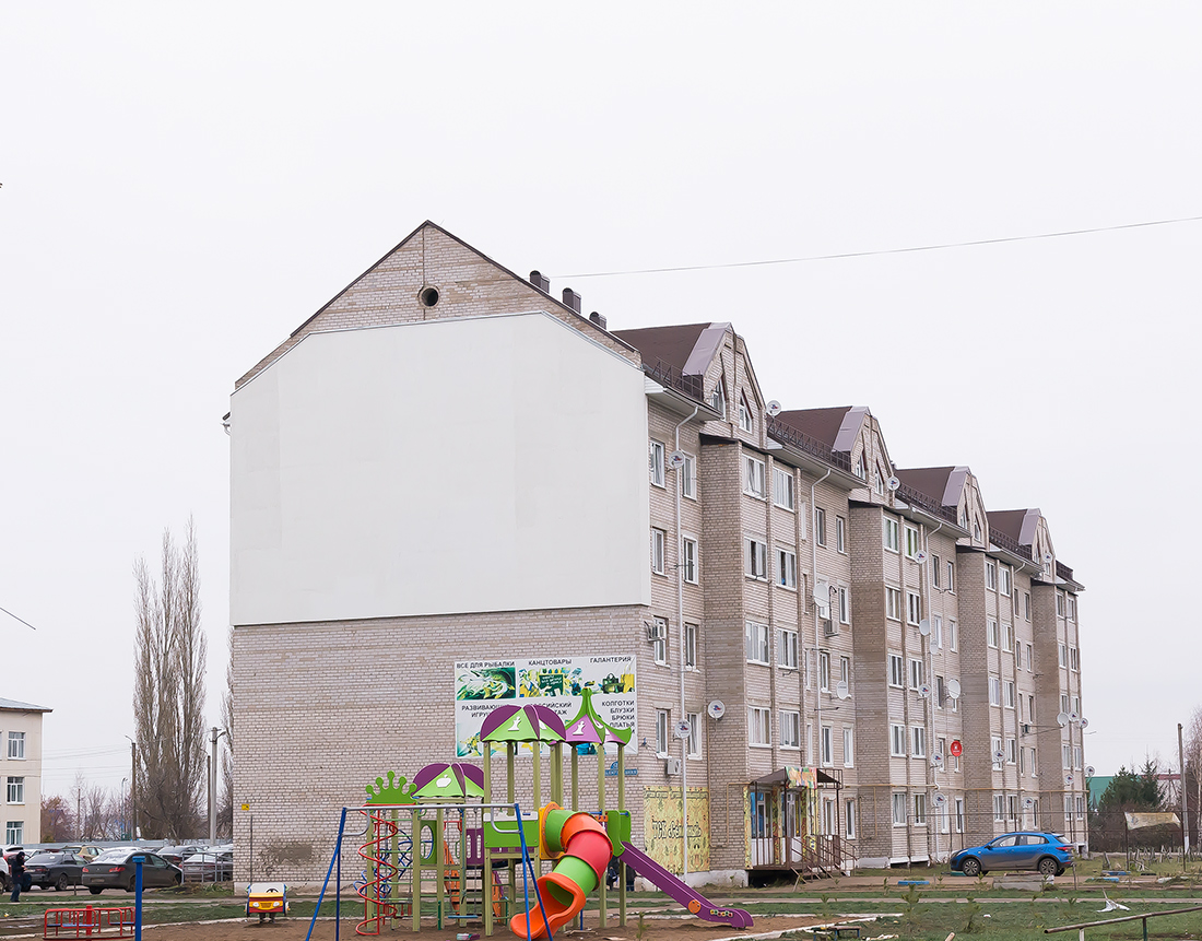 Уфимский район, прочие н.п., с. Алексеевка, Центральная улица, 58/1
