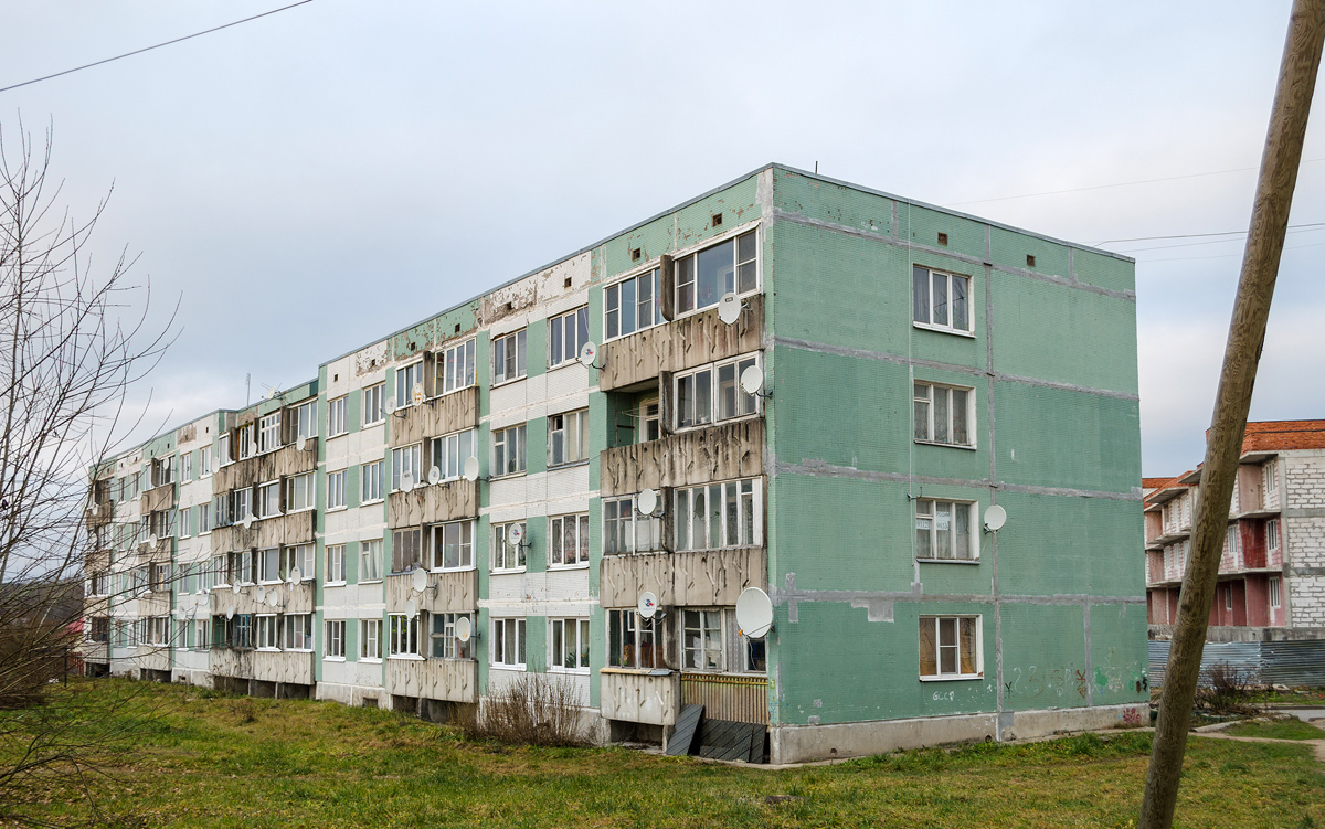 Выборгский район, прочие н. п., Поляны, Выборгское шоссе, 60