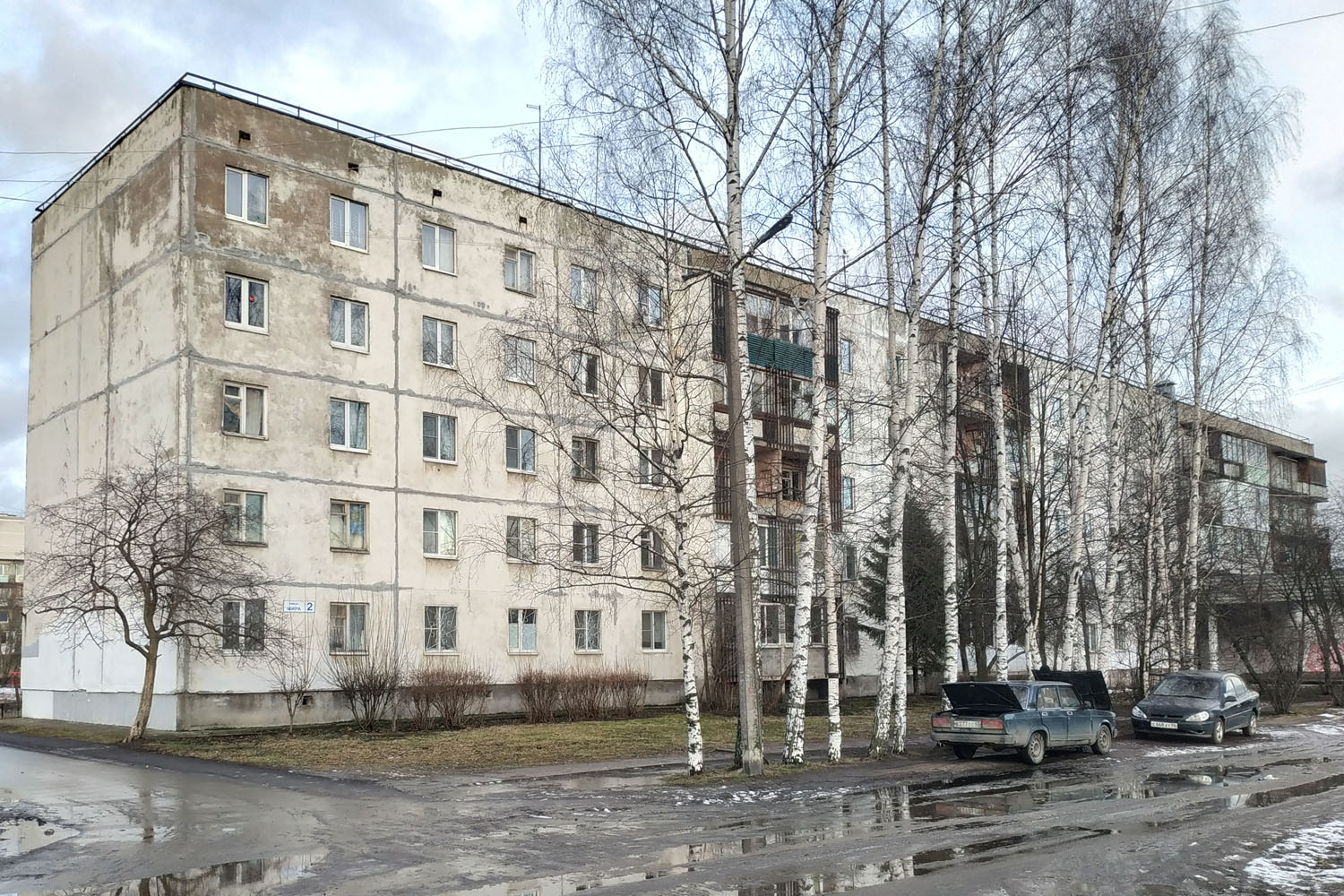 Otradnoe, Улица Мира, 2