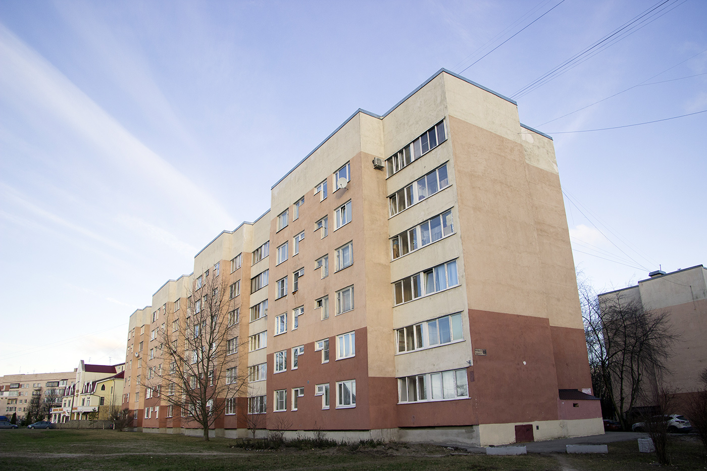 Пушкин, Ленинградская улица, 89