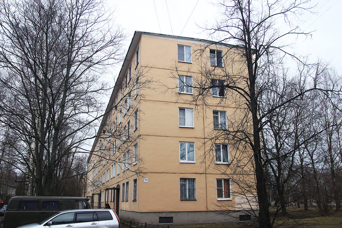 Колпино, Адмиралтейская улица, 25