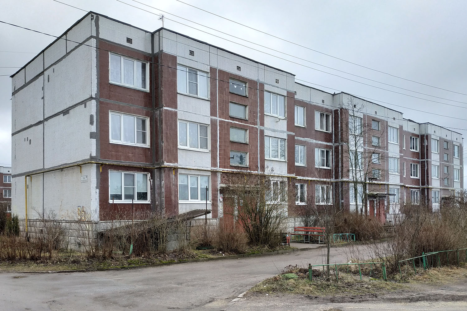 Гатчинский округ, прочие н. п., Большое Рейзино, 36