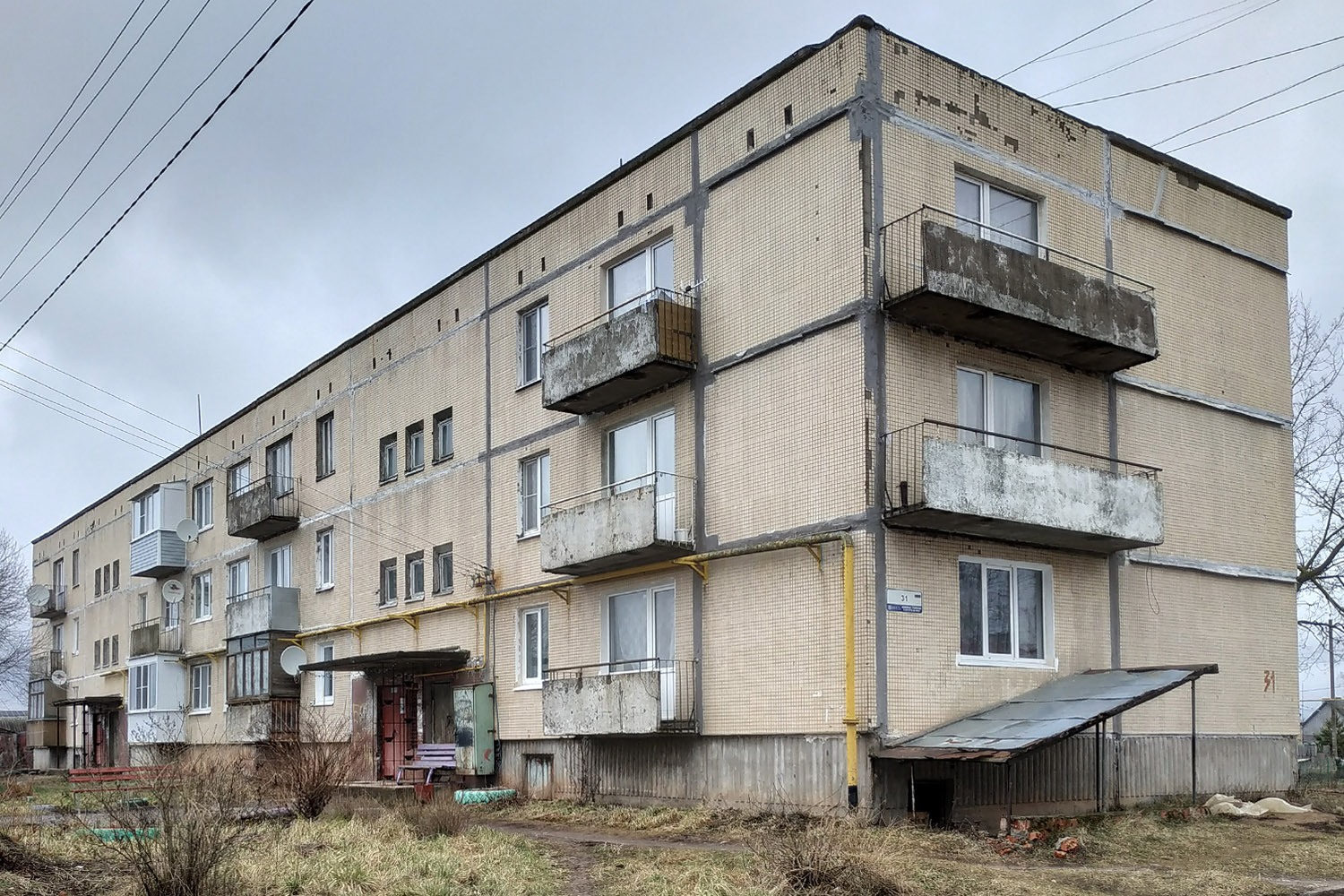 Гатчинский округ, прочие н. п., Большое Рейзино, 31