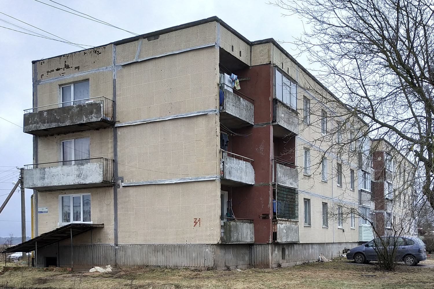 Гатчинский округ, прочие н. п., Большое Рейзино, 31