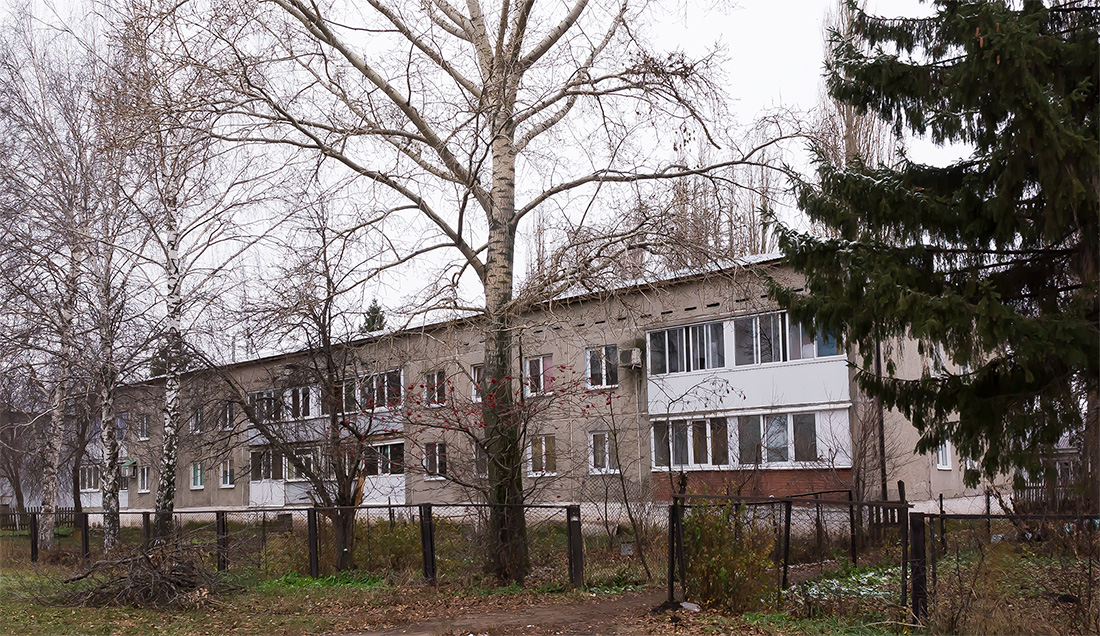 Уфимский район, прочие н.п., с. Алексеевка, Центральная улица, 59
