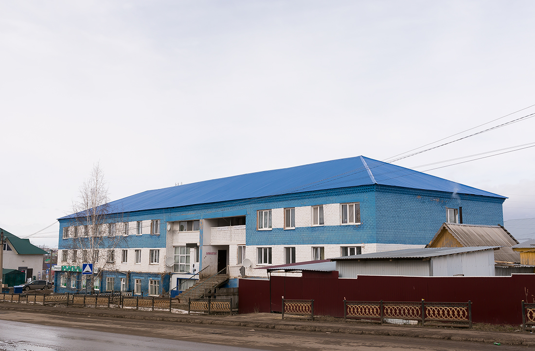 Благоварский район, прочие н.п., с. Языково, улица Пушкина, 20