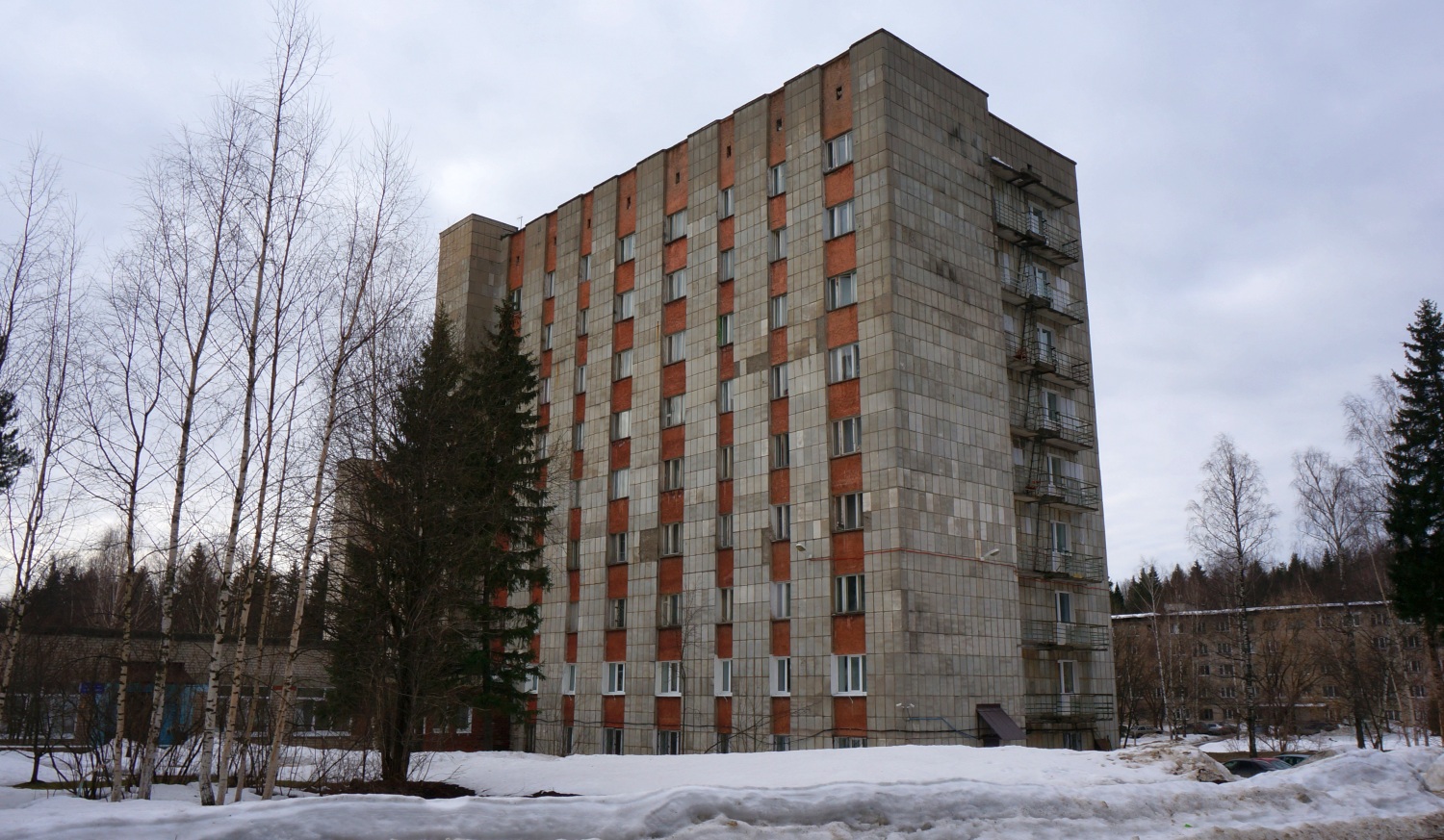 Пермь, Улица Профессора Дедюкина, 20
