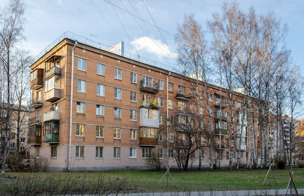 Санкт-Петербург, Кузнецовская улица, 20