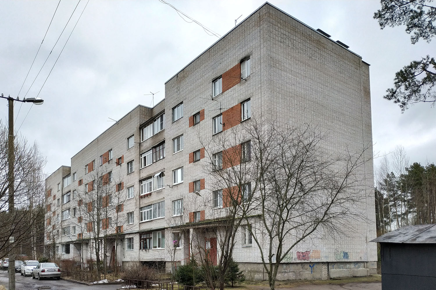 Vsevolozhsk, Боровая улица, 19