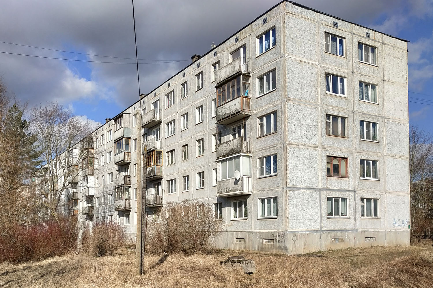 Гатчинский округ, прочие н. п., Кобралово, Лесная улица, 2а